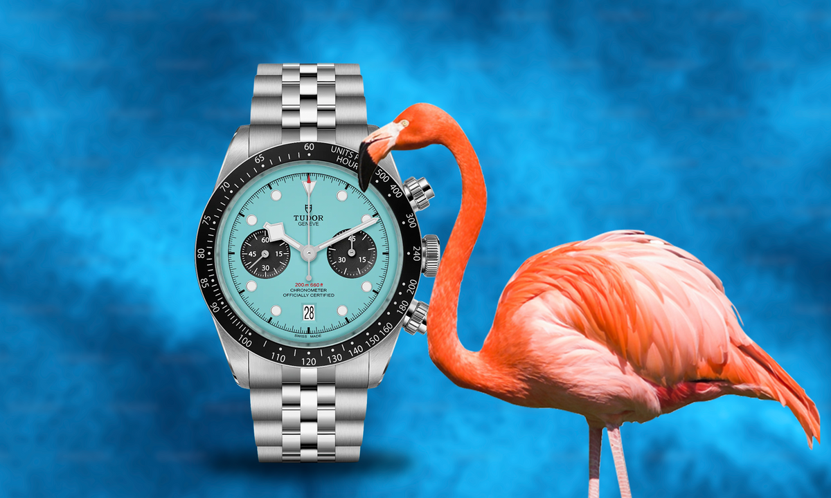 Flamingo Fever on a Budget: My Hunt for Bold Turquoise Watches Under $1K