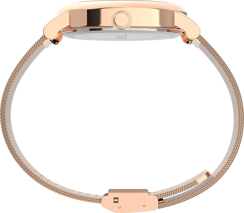 City White / Stainless Steel | White Dial