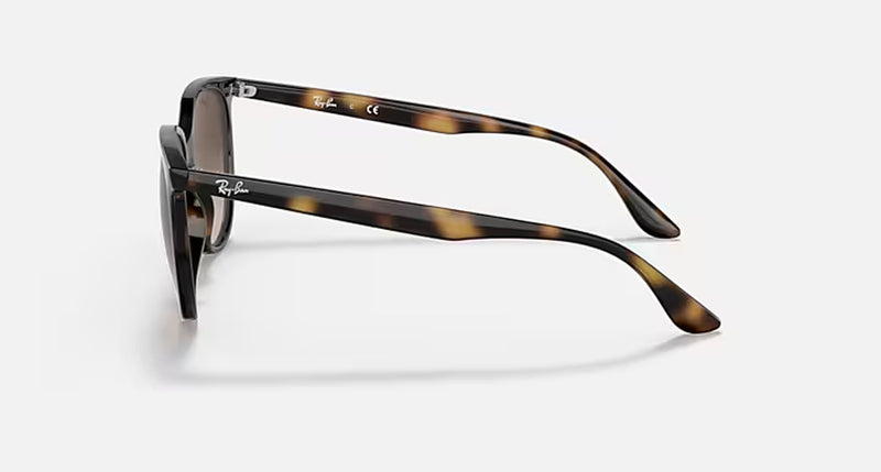 RB4378 LADIES / HAVANA-HAVANA