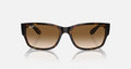 RB4388 UNISEX Havana / Clear Gradient Brown |  Dial