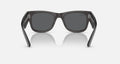 MEGA WAYFARER UNISEX Transparent Black / Dark Grey |  Dial