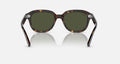 ERIK UNISEX Havana / Green |  Dial