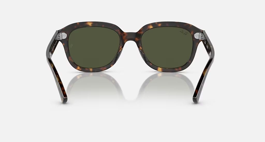 ERIK UNISEX Havana / Green |  Dial