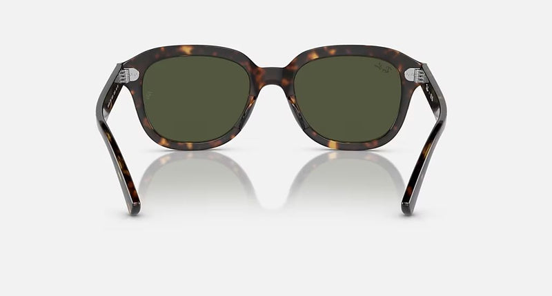 ERIK UNISEX Havana / Green |  Dial