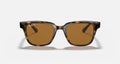 RB4323 UNISEX Light Havana / Brown |  Dial
