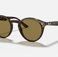 RB2180 MEN'S Dark Havana / Dark Brown