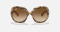 JACKIE OHH II LADIES / HAVANA-BROWN GRADIENT DARK BROWN