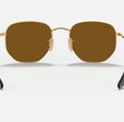 HEXAGONAL FLAT LENSES MEN'S Gold / Polar Brown |  Dial