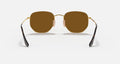 HEXAGONAL FLAT LENSES MEN'S Gold / Polar Brown |  Dial
