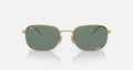 RB3706 UNISEX Arista / Polar Grey |  Dial