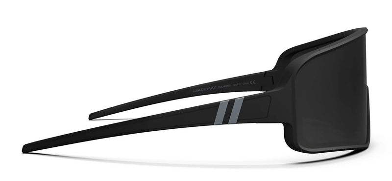 ECLIPSE BLACK / GREY POLARIZED |  Dial