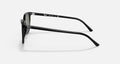 ELLIOT UNISEX Evo-Elliot / Blk - Blk |  Dial