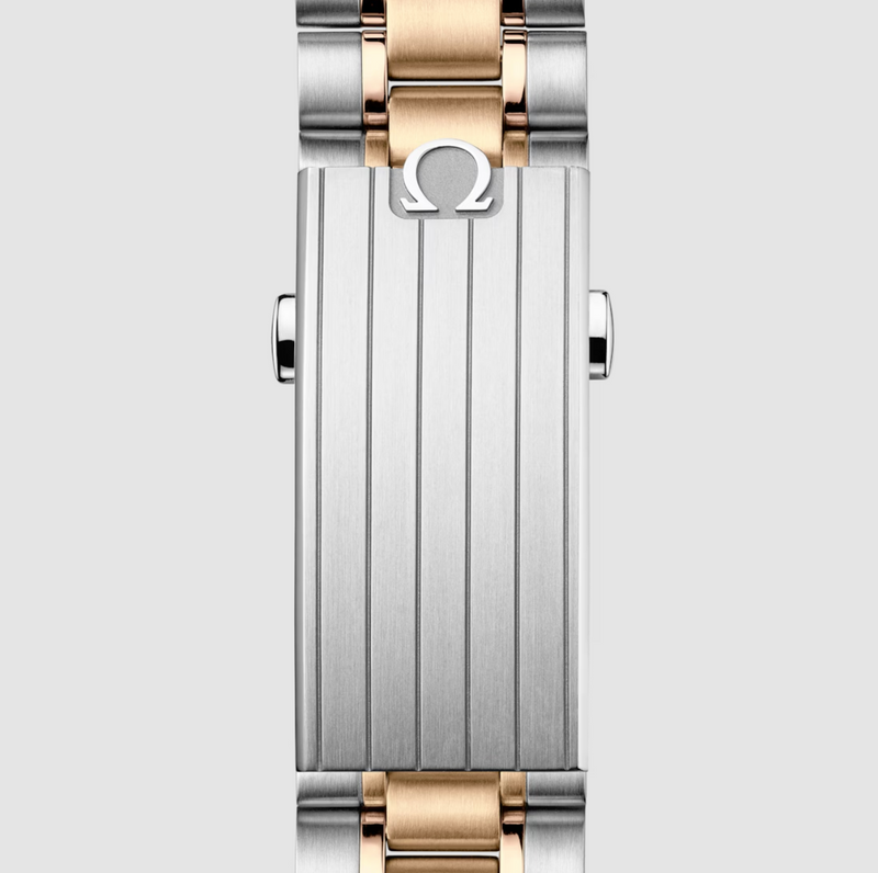 Speedmaster Moonwatch Professional Moonshine gold on steel | Silver Dial