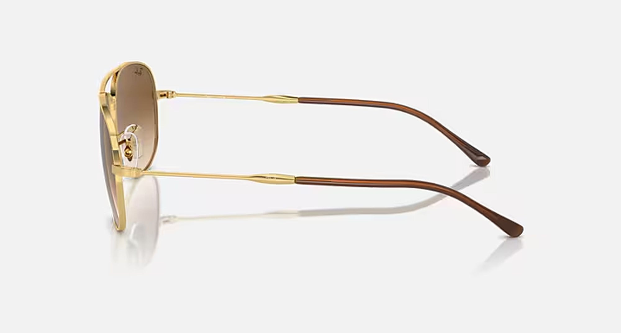 BAIN BRIDGE UNISEX / ARISTA-CLEAR GRADIENT BROWN