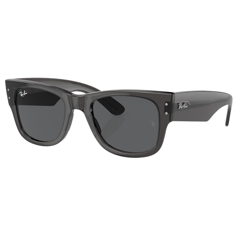 MEGA WAYFARER UNISEX Transparent Black / Dark Grey |  Dial