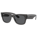 MEGA WAYFARER UNISEX Transparent Black / Dark Grey |  Dial