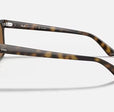 RB4323 UNISEX Light Havana / Brown |  Dial