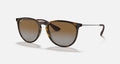 ERIKA CLASSIC WOMEN'S Tortoise / Brown