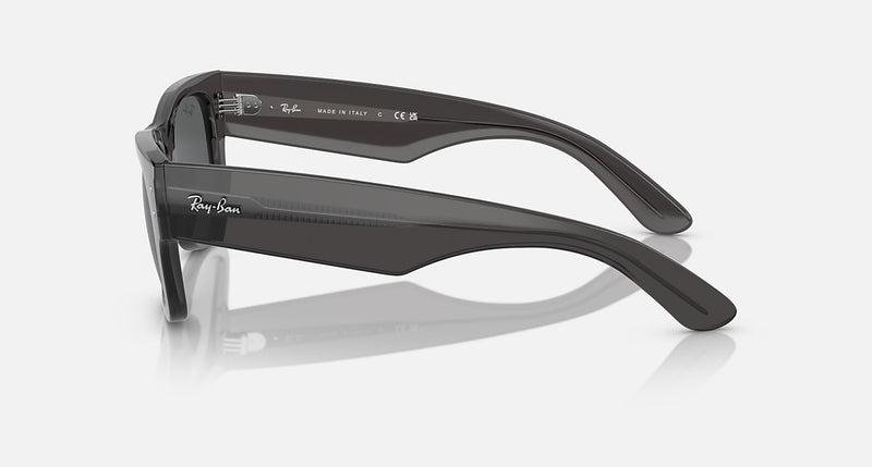 MEGA WAYFARER UNISEX Transparent Black / Dark Grey |  Dial