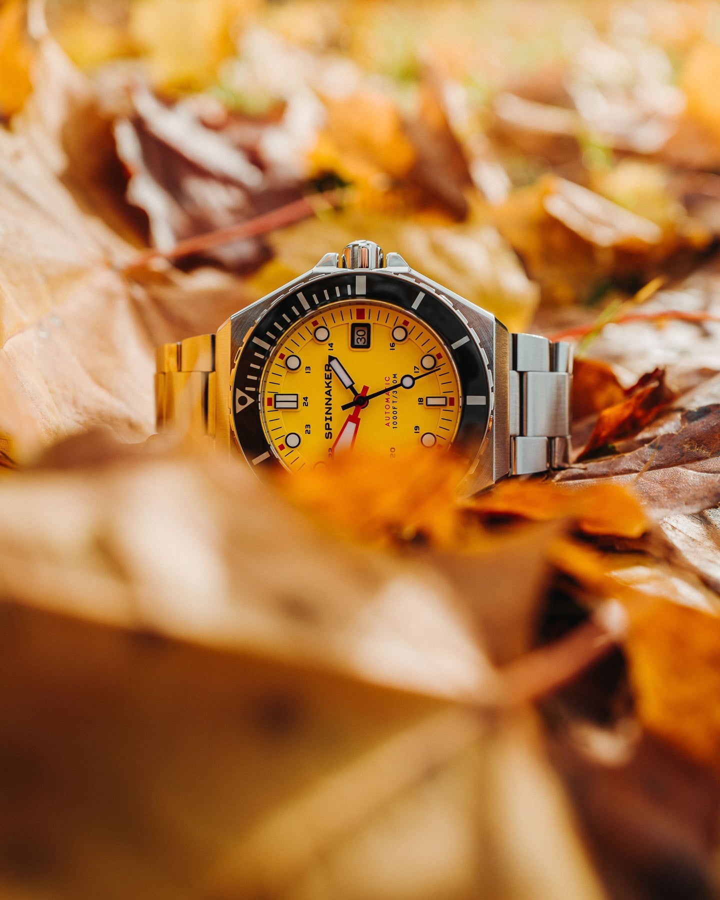Dumas Yellow / Stainless Steel | Yellow Dial