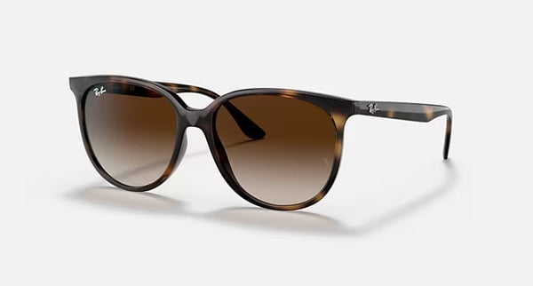 RB4378 LADIES / HAVANA-HAVANA
