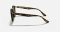 RB2180 MEN'S Dark Havana / Dark Brown