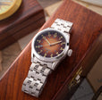 Cavalier Japan Quartz Brown / Stainless Steel |  Dial