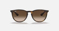 ERIKA CLASSIC MEN'S Rubber Havana / Brown Gradient