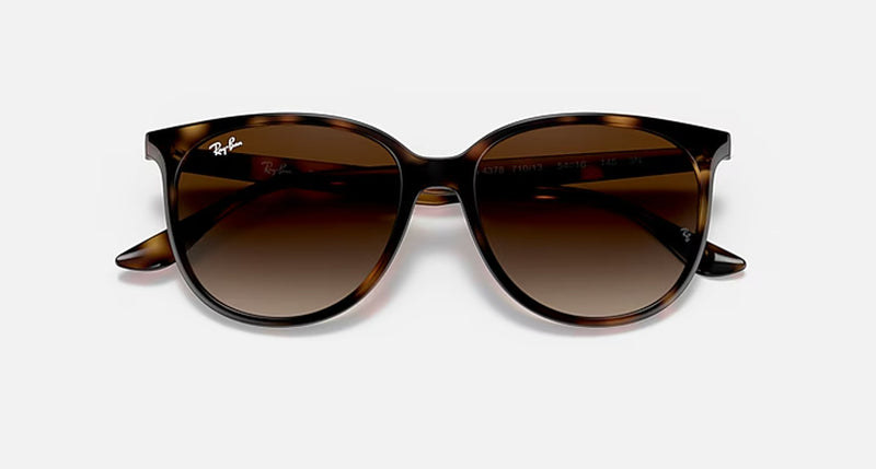 RB4378 LADIES / HAVANA-HAVANA