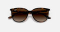 RB4378 LADIES / HAVANA-HAVANA