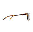 The Cambridge Tortoise |  Dial