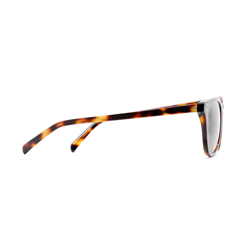 The Cambridge Tortoise |  Dial