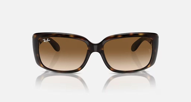 RB4389 WOMEN'S Havana / Clear Gradient Brown |  Dial