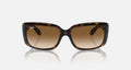 RB4389 WOMEN'S Havana / Clear Gradient Brown |  Dial
