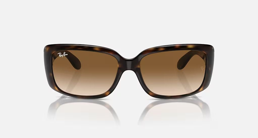 RB4389 WOMEN'S Havana / Clear Gradient Brown |  Dial