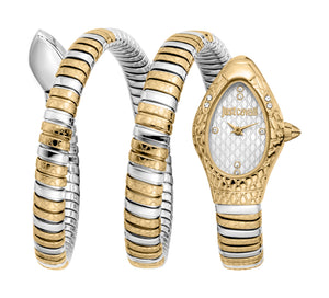 Snake 20mm / Silver / Silver and Gold | Silver Dial