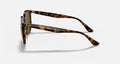 RB4306 UNISEX Light Havana / Brown |  Dial