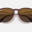 ERIKA CLASSIC LADIES / TRANSPARENT DARK BROWN-BROWN GRADIENT POLAR