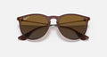 ERIKA CLASSIC LADIES / TRANSPARENT DARK BROWN-BROWN GRADIENT POLAR