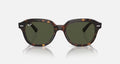 ERIK UNISEX Havana / Green |  Dial
