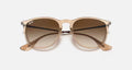 ERIKA COLOR MIX LADIES / TRANSPARENT LIGHT BROWN / BROWN GRADIENT DARK BROWN |  Dial