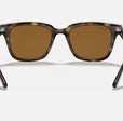 RB4323 UNISEX Light Havana / Brown |  Dial