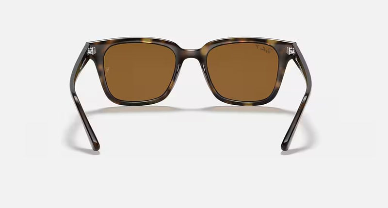 RB4323 UNISEX Light Havana / Brown |  Dial