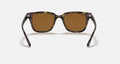 RB4323 UNISEX Light Havana / Brown |  Dial