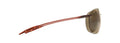 SUGARBEACH UNISEX / ROOTBEER / HCL BRONZE