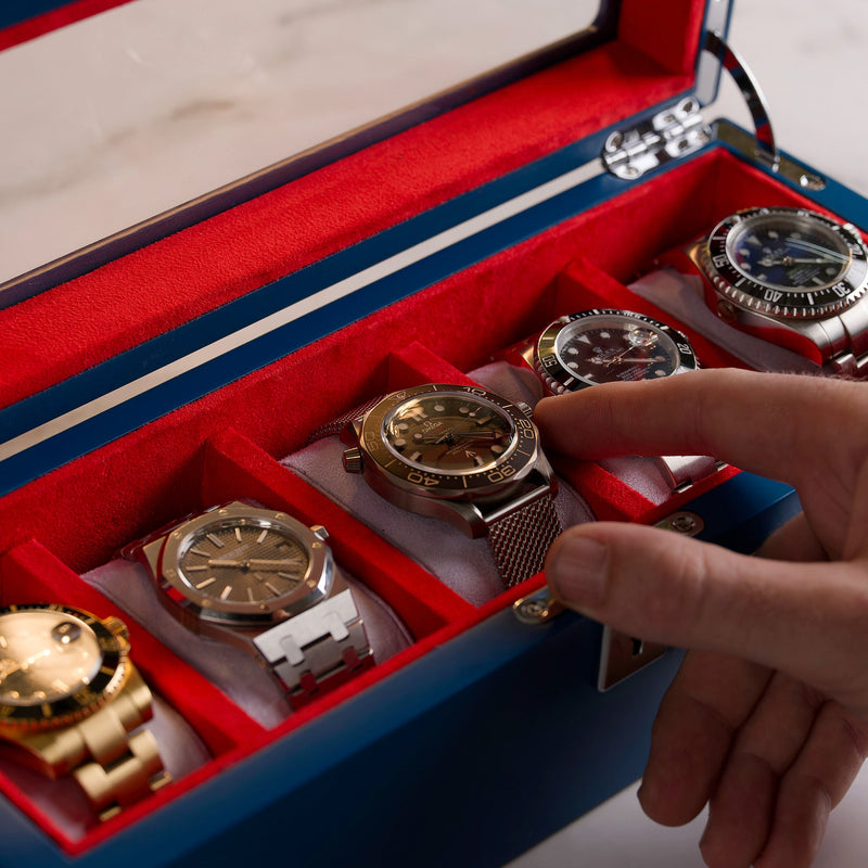 MAINSPRING Raceday Monte Carlo 5-Slot Collector Box (Blue)