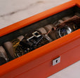 Mainspring Raceday Monte Carlo 5-Slot Collector Box (Orange)