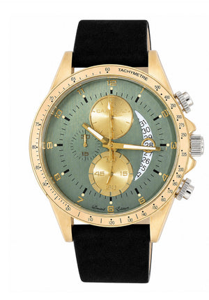 Winner Circle Teal Green- Gold / Suede Black Green Dial