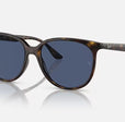 RB4378 WOMEN'S Havana / Dark Blue |  Dial