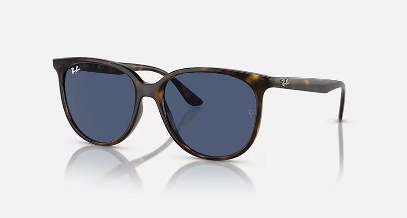 RB4378 WOMEN'S Havana / Dark Blue |  Dial